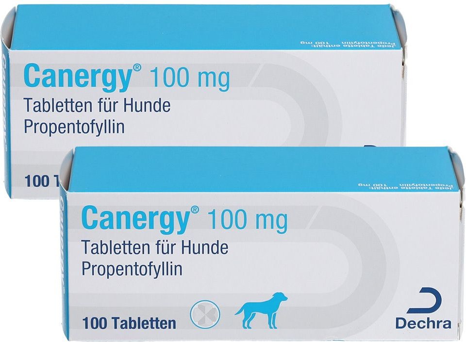 Canergy 100Mg TAB Hunde Doppelpack 2x100 St Tabletten
