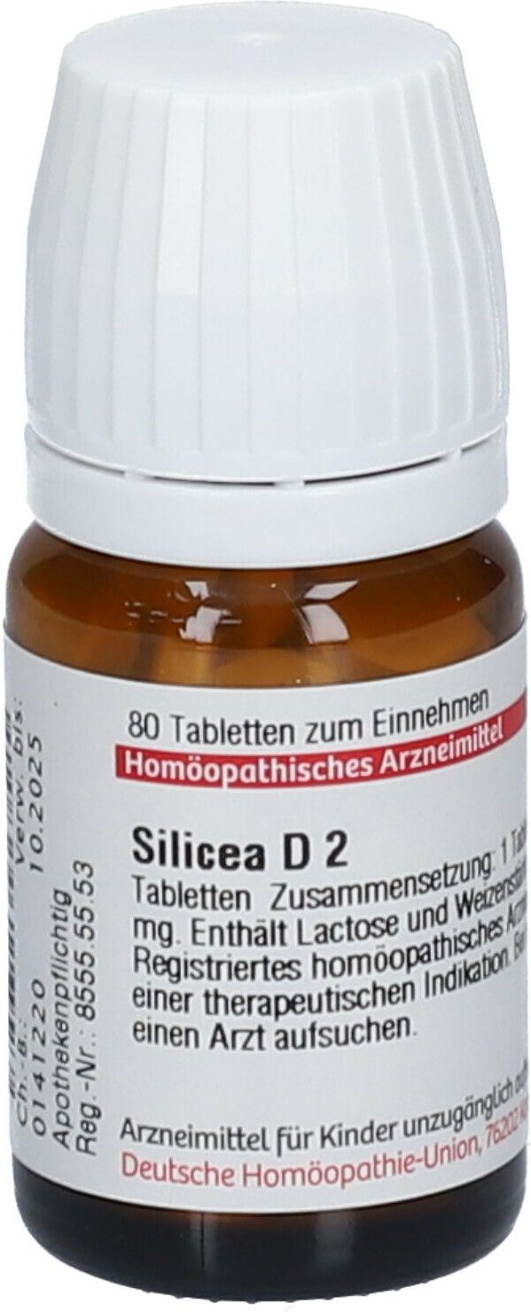 Silicea D 2 Tabletten 80 St