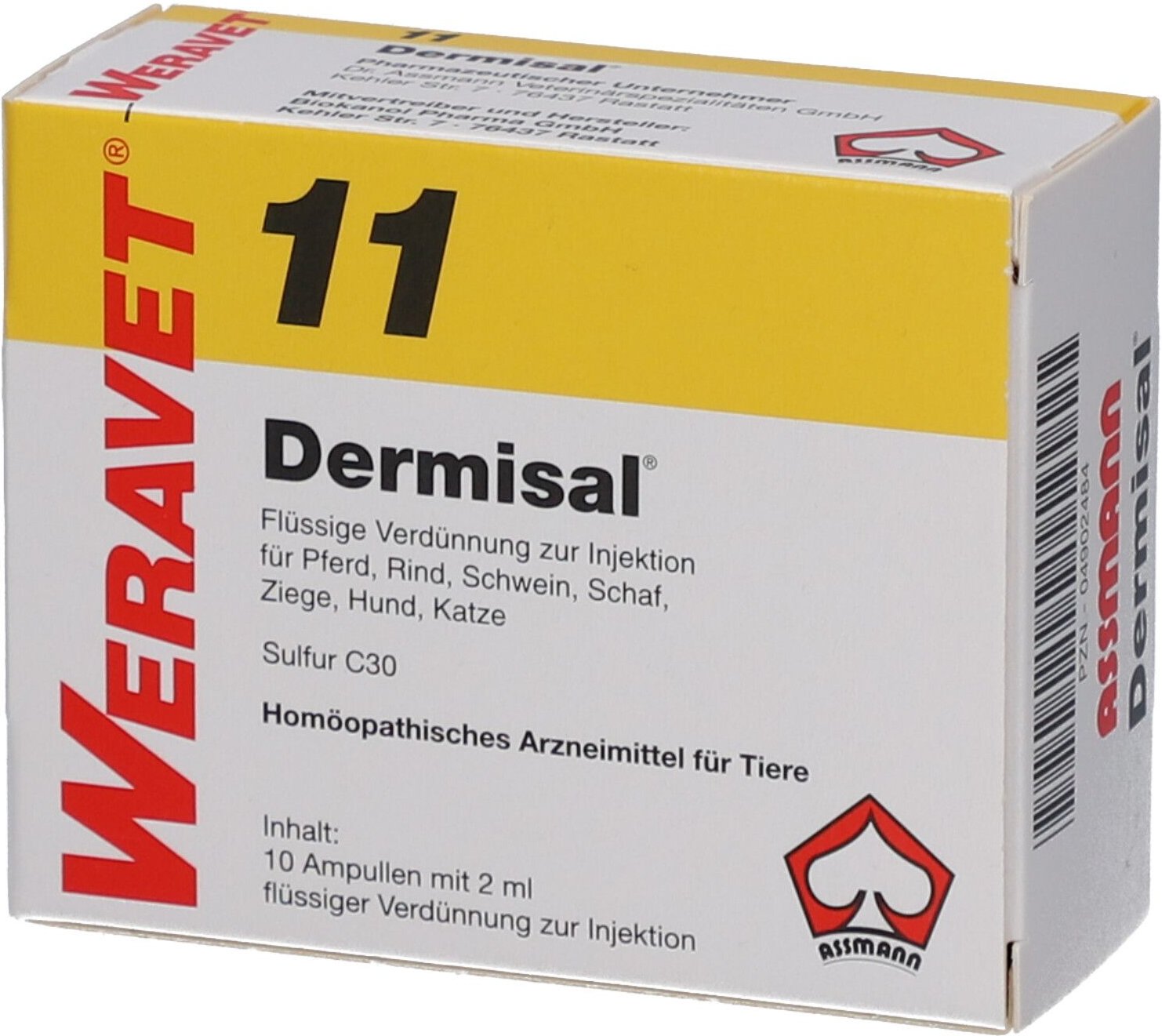 Dermisal 11 Ampullen vet. 10x2 ml
