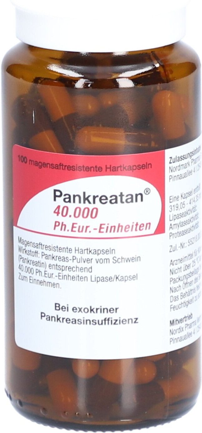 Pankreatan 40.000 Ph.Eur.-Einheiten msr.Hartkaps. 100 St Magensaftresistente Hartkapseln