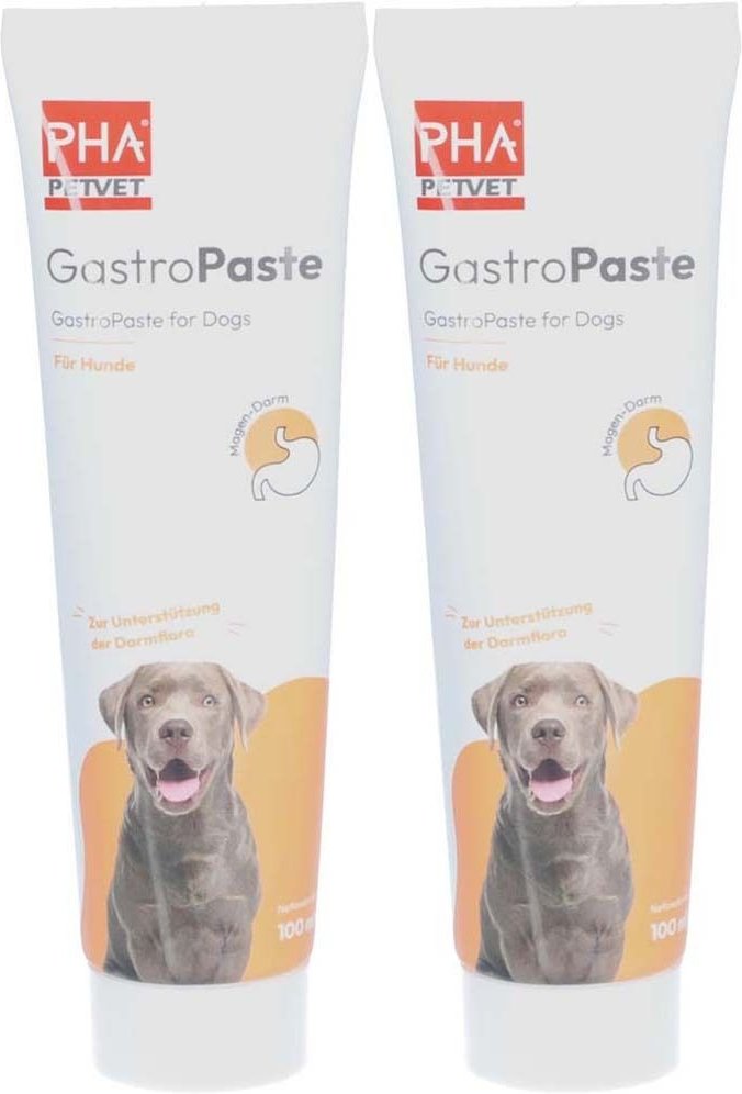 PetVet PHA GastroPaste für Hunde Doppelpack 2x100 ml Paste