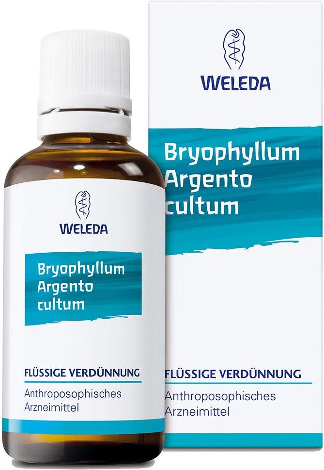 Thumbnail - Bryophyllum Argento cultum D 3 Dilution 50 ml