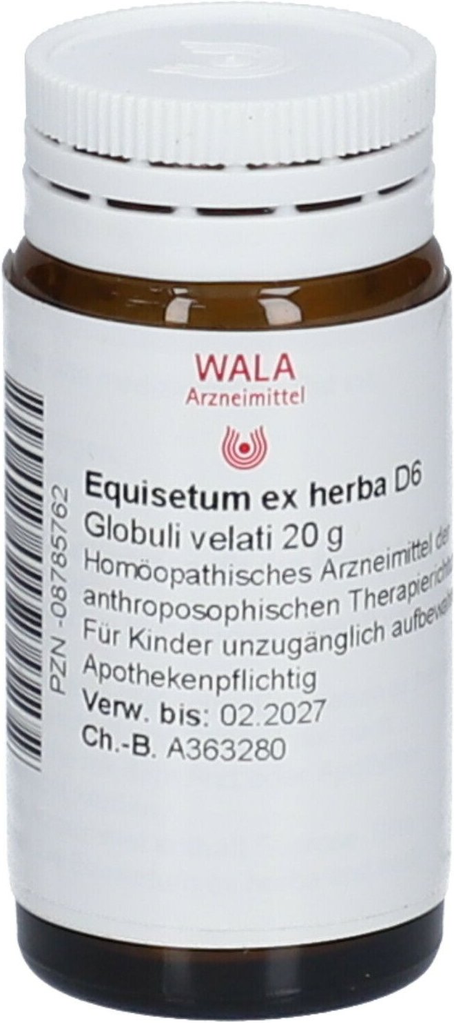 Thumbnail - Equisetum EX Herba D 6 Globuli 20 g
