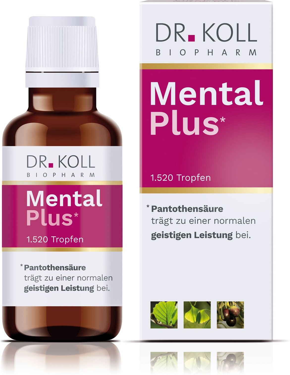 Mental Plus Dr.Koll Gemmo Kompl.Pantothensäure Tr 50 ml Tropfen