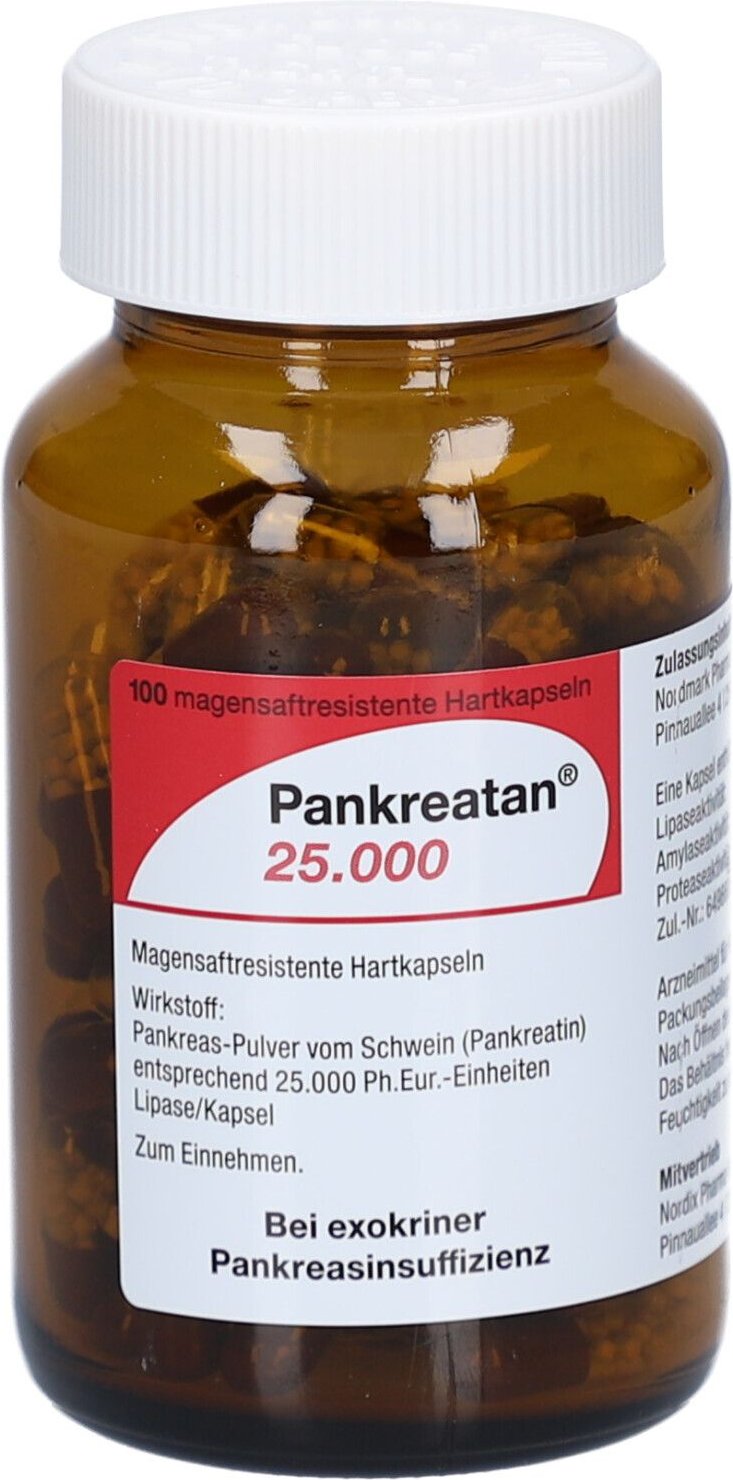 Pankreatan 25.000 magensaftresistente Hartkapseln 100 St Magensaftresistente
