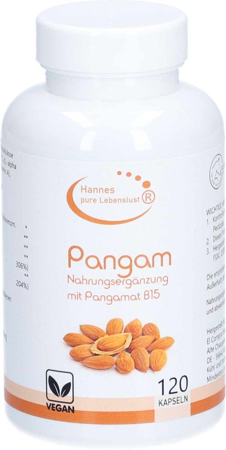 Pangam Vitamin B15 Kapseln 120 St