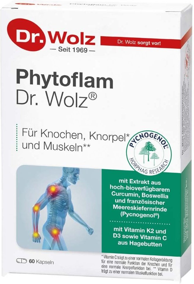 Phytoflam Dr.Wolz Kapseln 2x 2x60 St