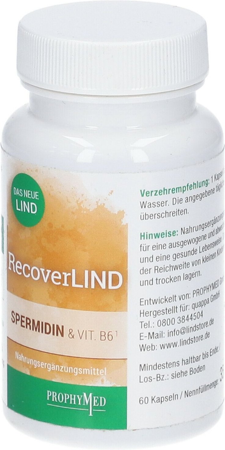 Recoverlind VIT B6 KUR 60 St Kapseln