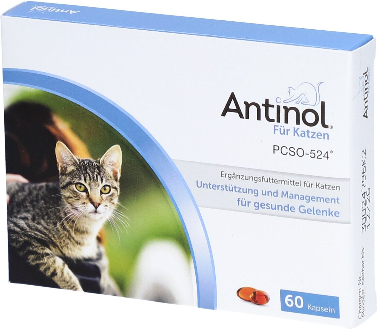 Antinol Katze, Packung mit 60 Tabletten St Kapseln