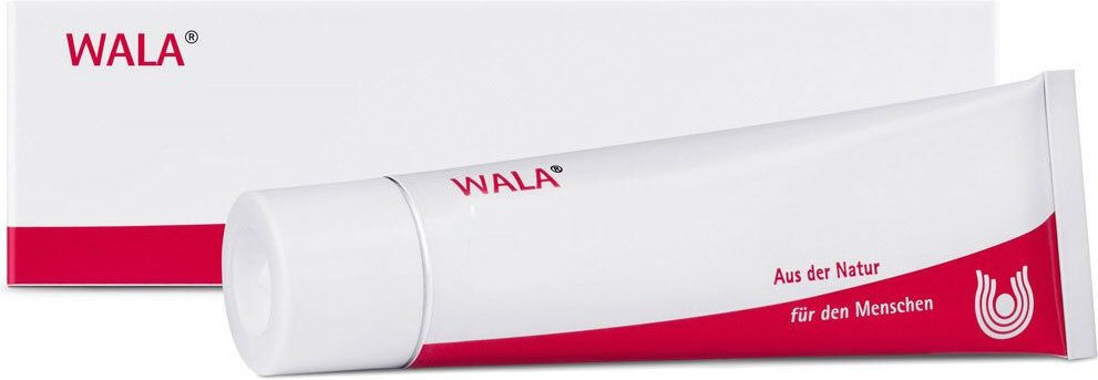 DISCI/Viscum comp.cum Stanno Unguentum 100 g Salbe