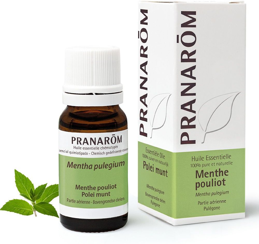 Thumbnail - Pranarom Polei Munt Essentiële Olie 10 ml Ätherisches Öl