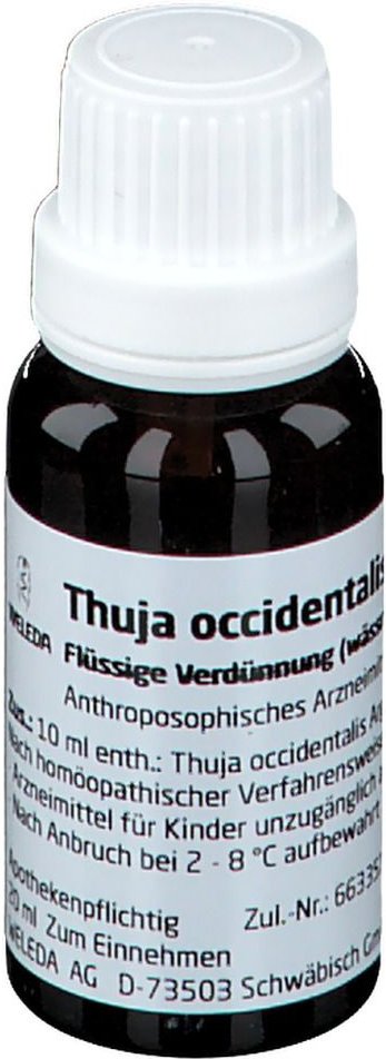 Thumbnail - Thuja Occidentalis Argento culta Rh D 3 Dilution