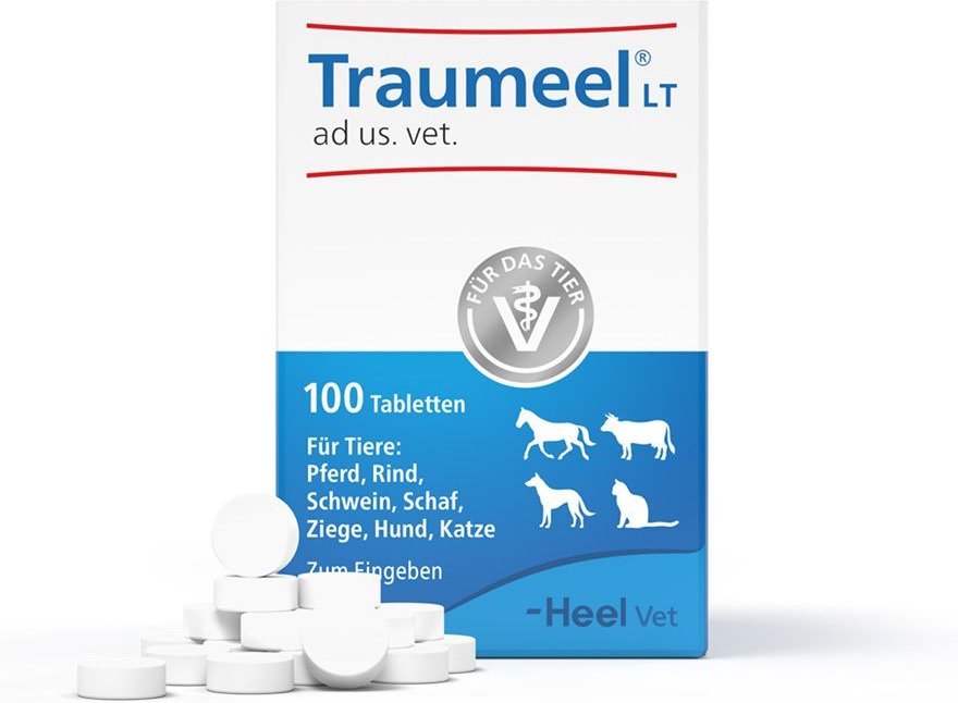 Thumbnail - Traumeel LT ad us.vet.Ampullen 50x5 ml Ampullen