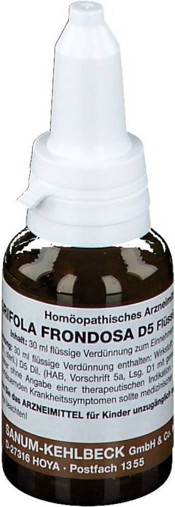 Grifola frondosa D 5 Tropfen 30 ml zum Einnehmen