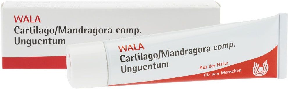 Thumbnail - CARTILAGO/Mandragora comp Unguentum 100 g Salbe