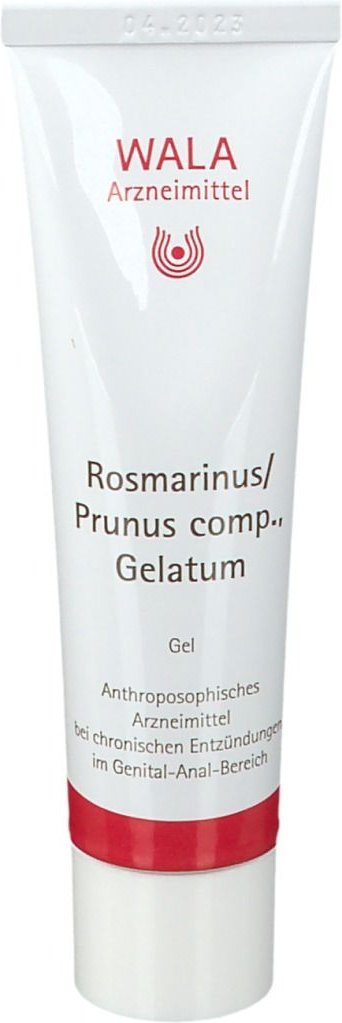 Rosmarinus / Prunus comp. Gela