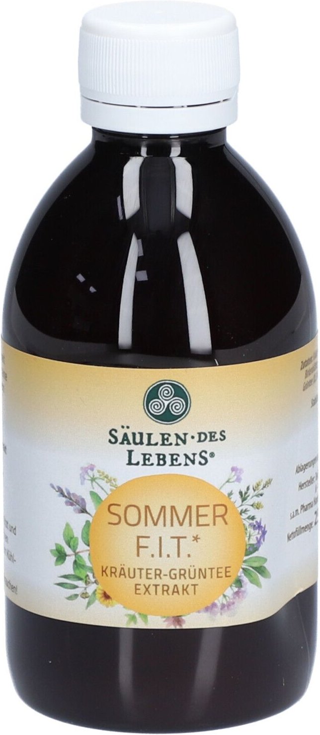 Saeulen Leben Sommer FIT TEE 250 ml Tee