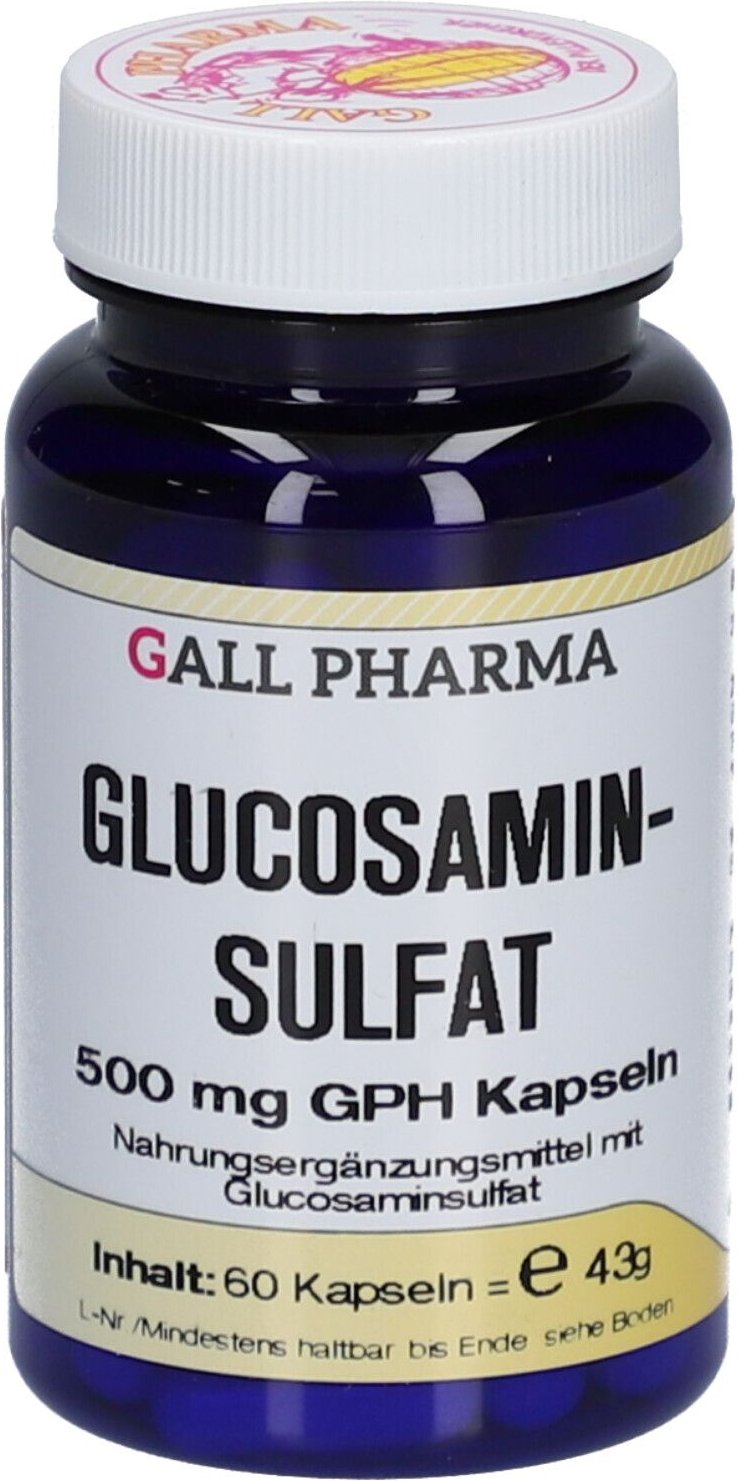 Glucosaminsulfat Kapseln 500 mg 60 St