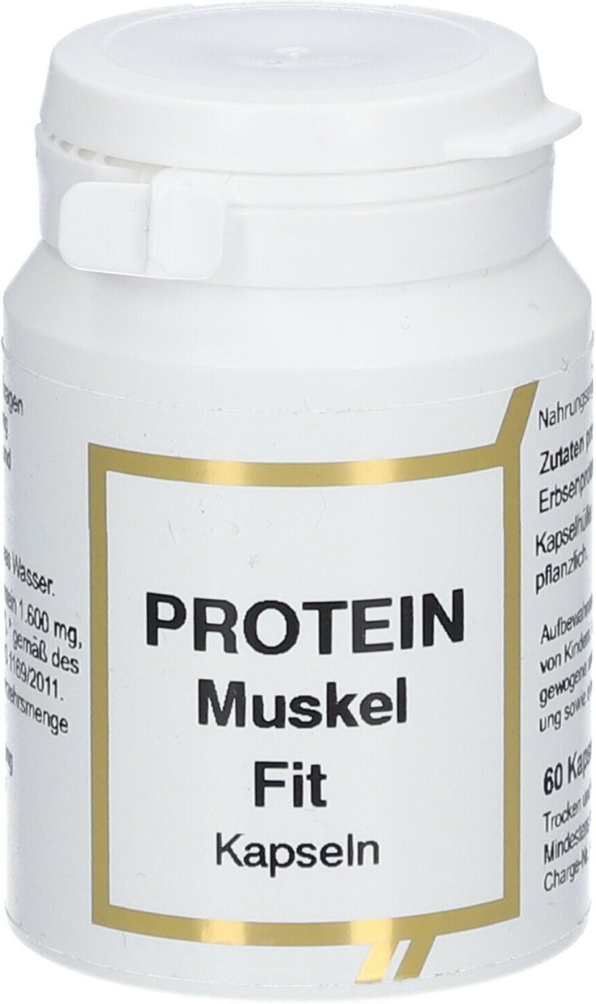 Protein Muskel FIT KPS 60 St Kapseln