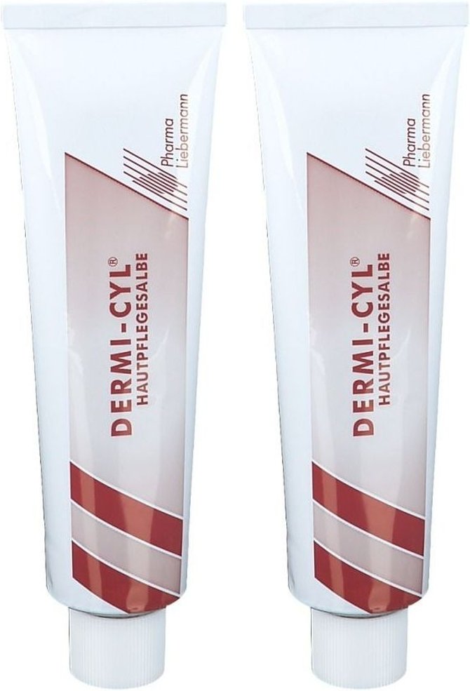 Dermi CYL Hautpflegesalbe 2x 2x100 g Salbe