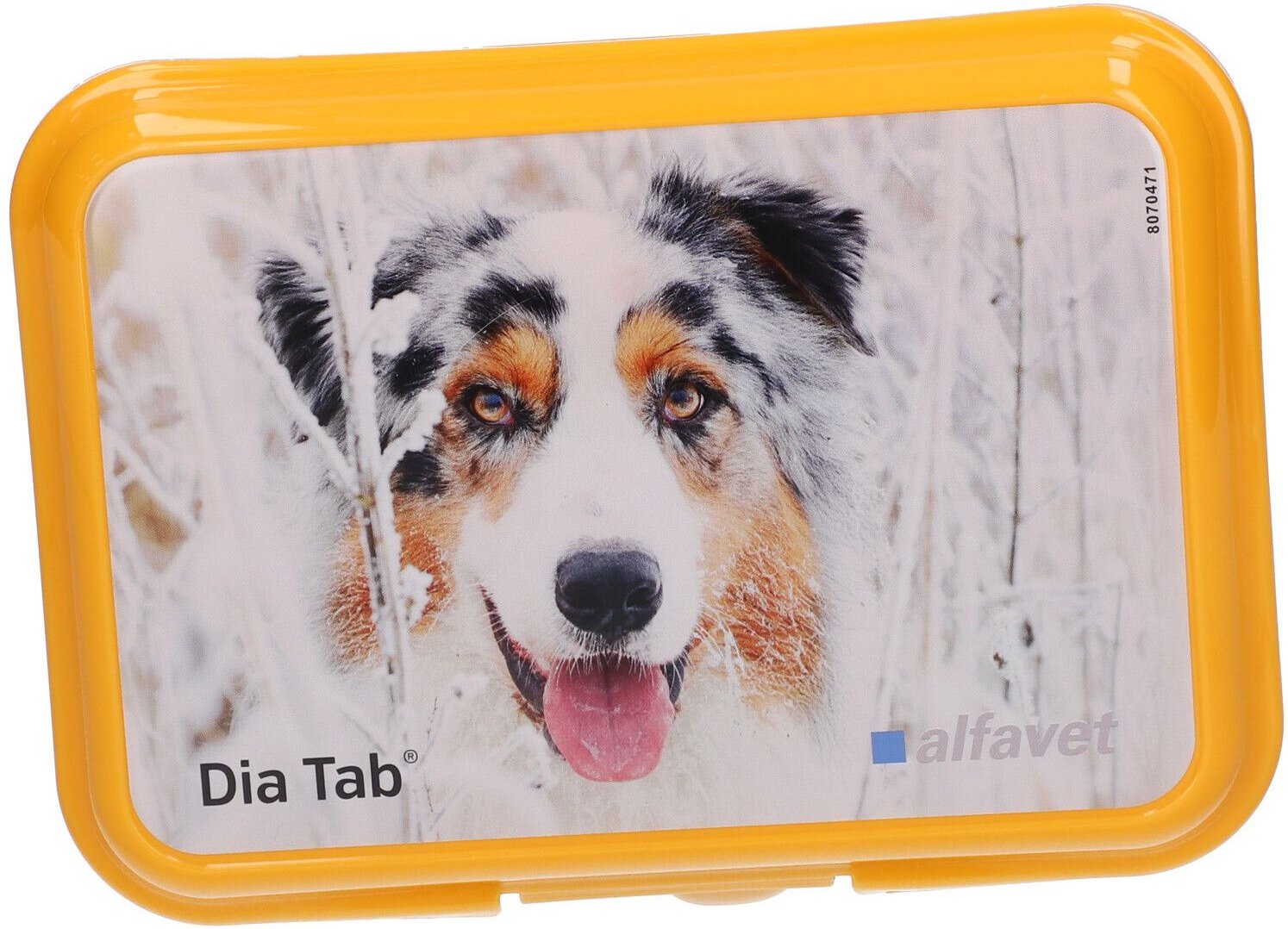 DIA TAB Reiseapo.Kautabletten f.Hunde/Katzen 20x5,5 g Kautabletten