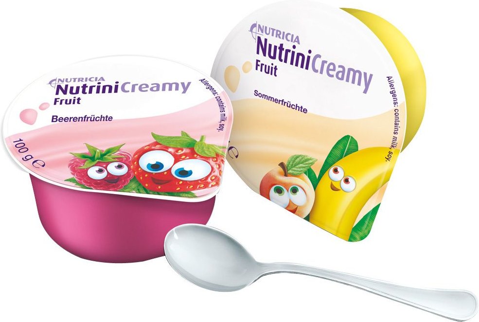 Nutrini Creamy Fruit Mischkarton 32x100 g Creme