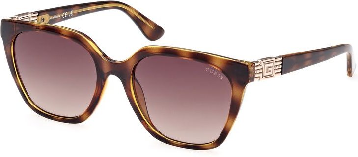 Braune Harz-Sonnenbrille