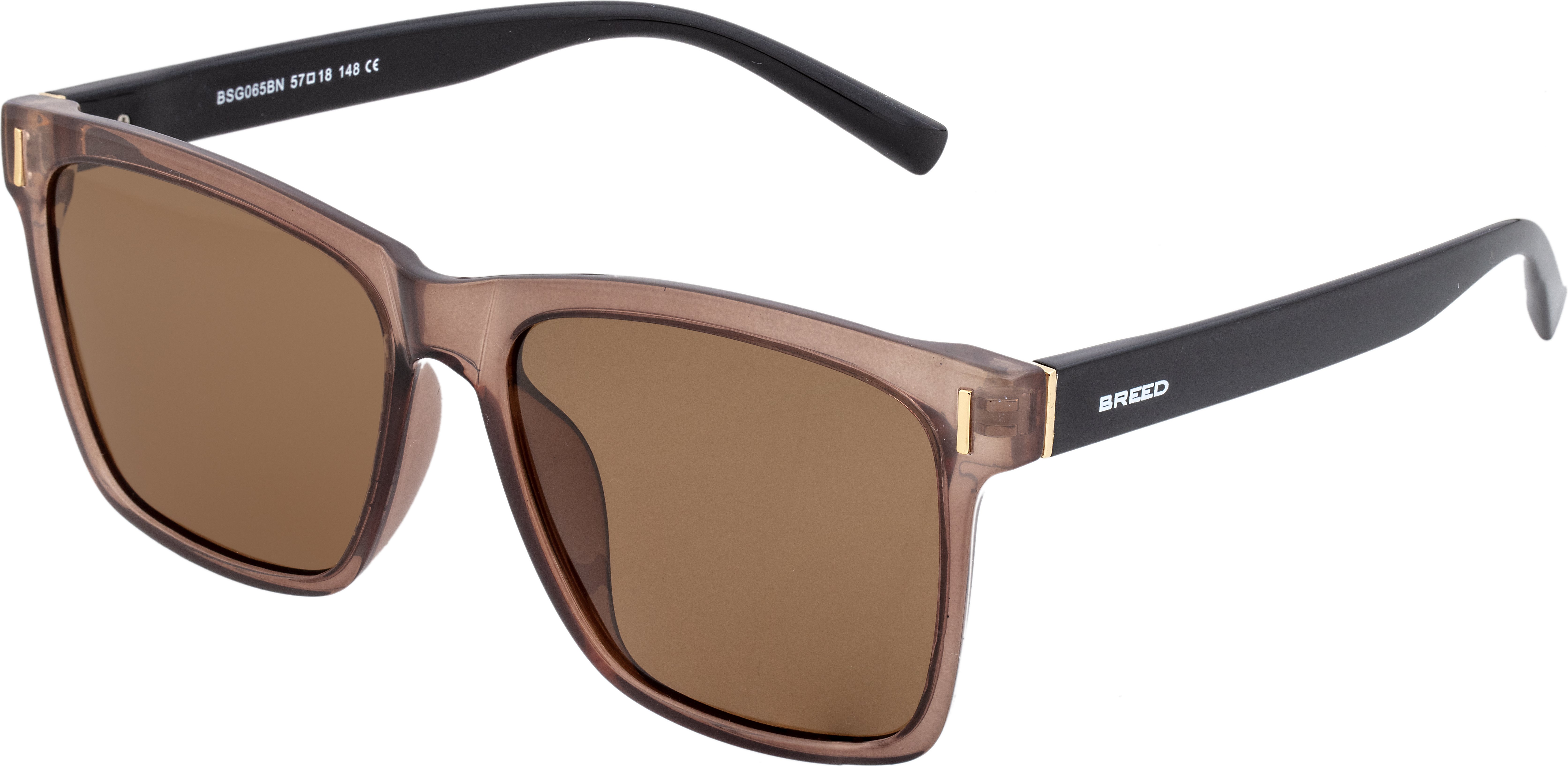 Breed Pictor Polarisierte Sonnenbrille