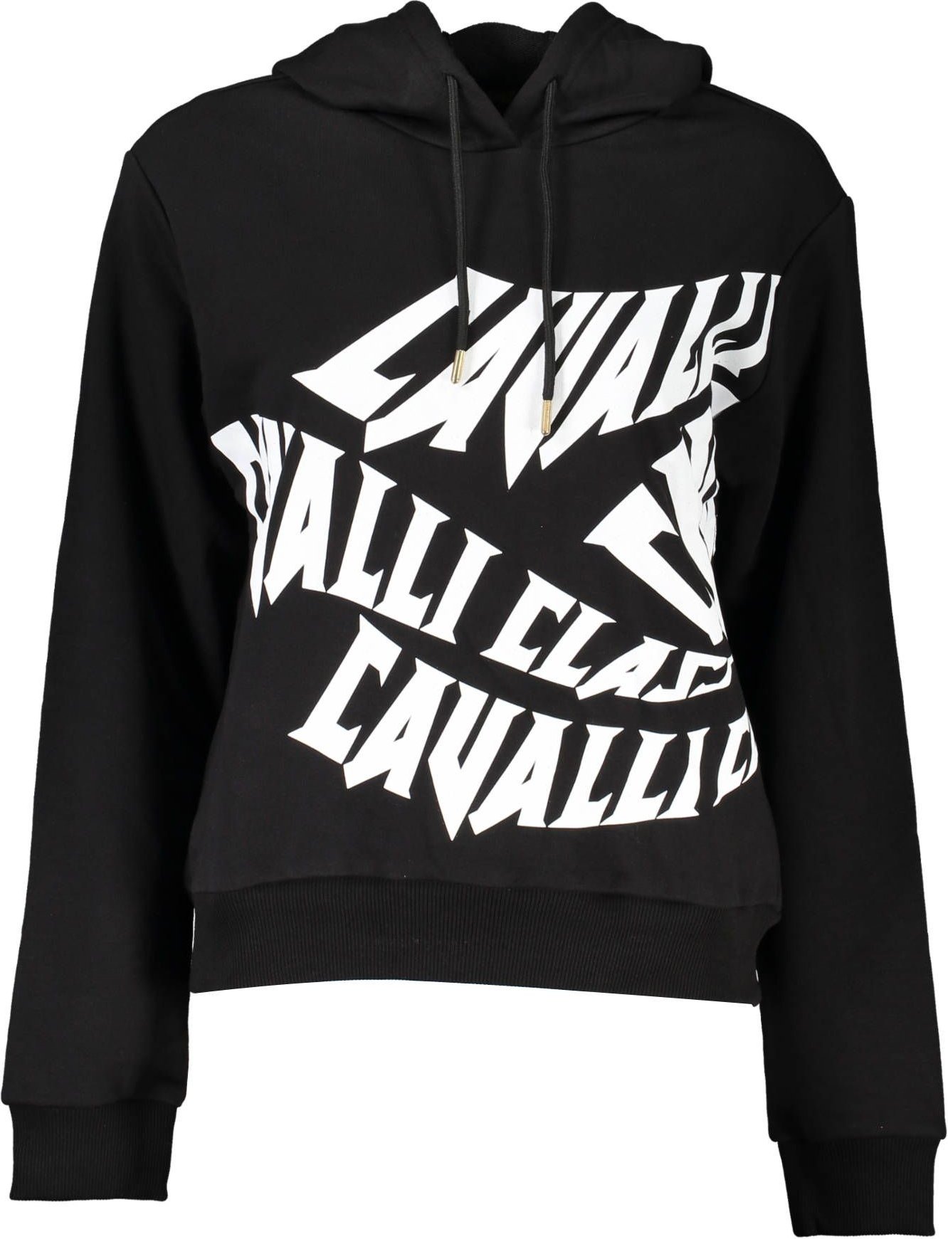 Logo Hoodie Stil Ca21199