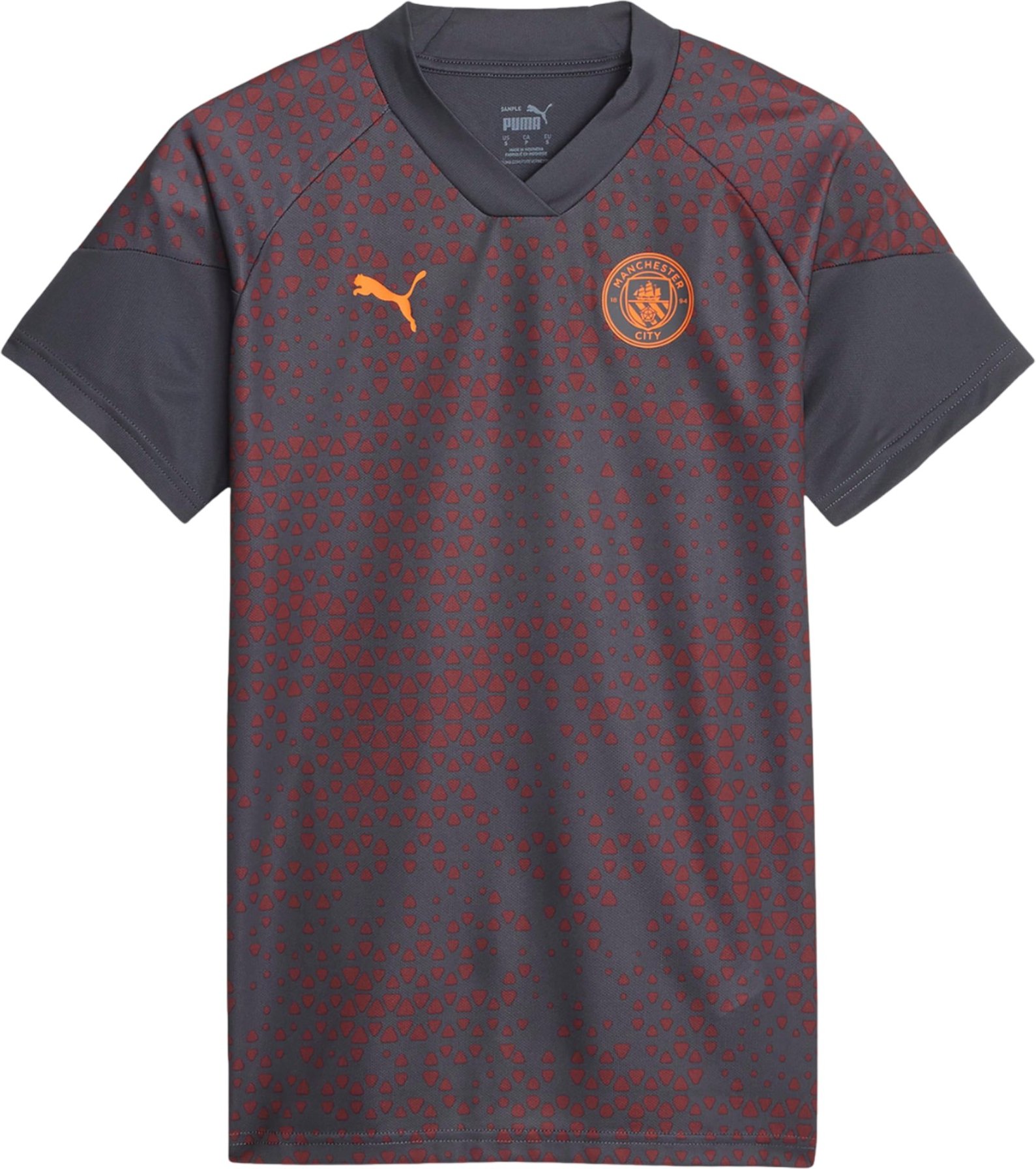 Puma - Trikot für Herren, Training (Grau)