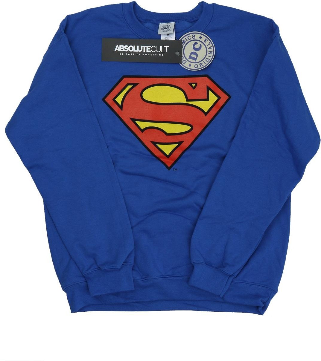 DC Comics - Sweatshirt für Herren (Königsblau)