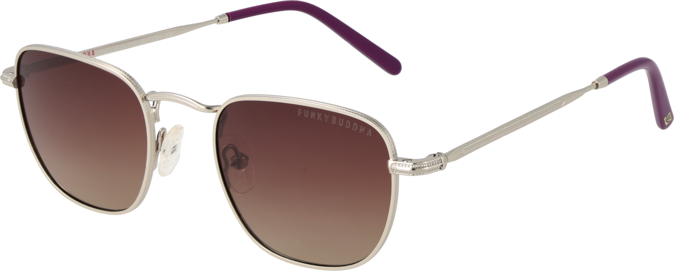 Funky Buddha Sonnenbrille FBS2030 003 48