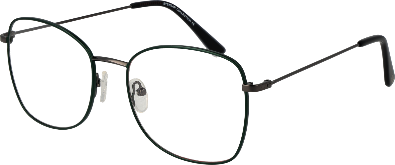 Funky Buddha Brillenfassung FBD1015 004 54