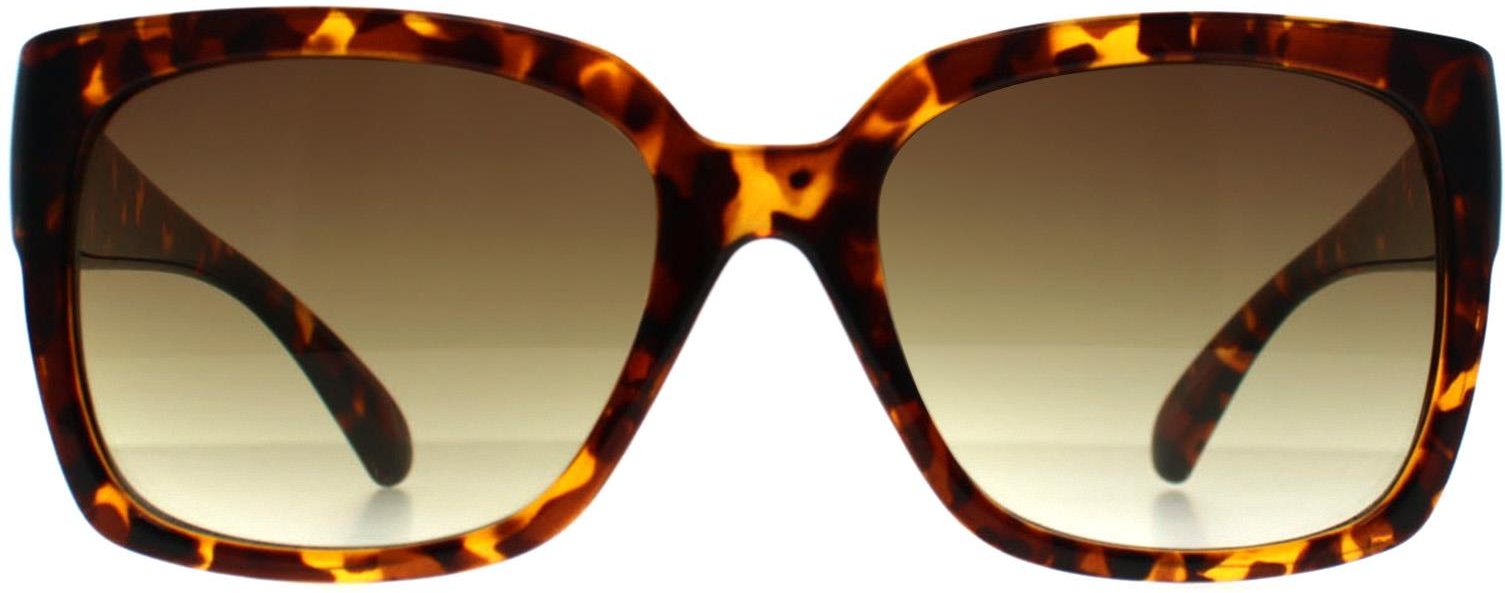 Calvin Klein CK22549S 240 glänzende havannabraune Sonnenbrille mit Farbverlauf