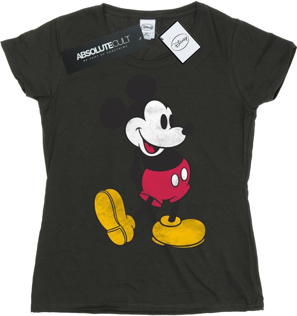 Disney - T-Shirt für Damen (Hellgrau)