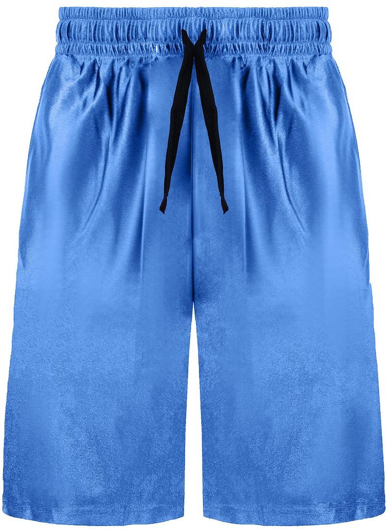 Converse Logo Herren Blue/Black Shorts