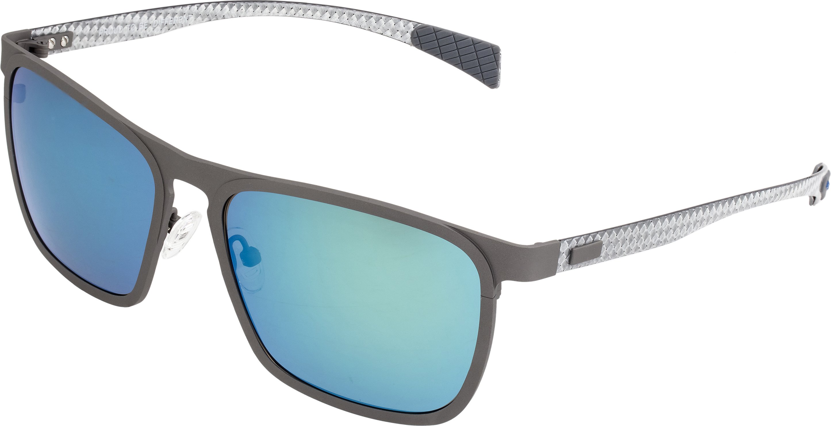Lunettes de soleil polarisées Breed Capricorn Titanium