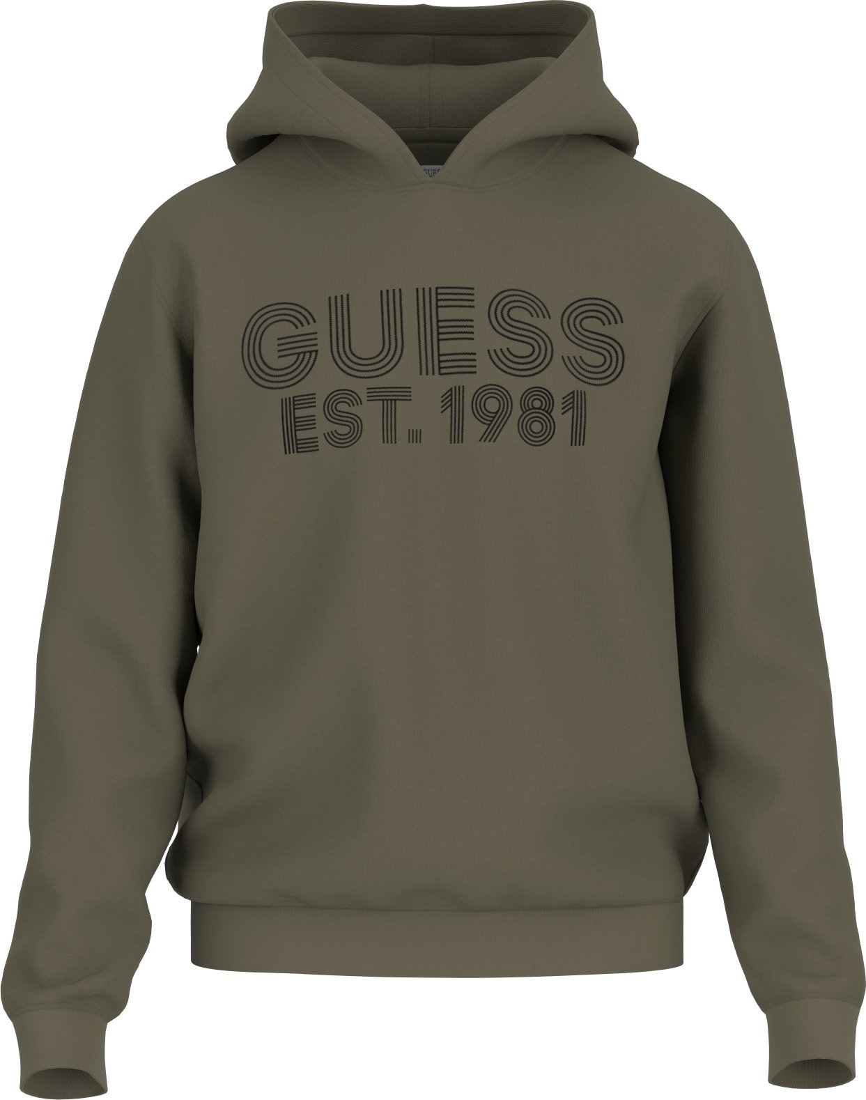 Guess Kapuzensweatshirt