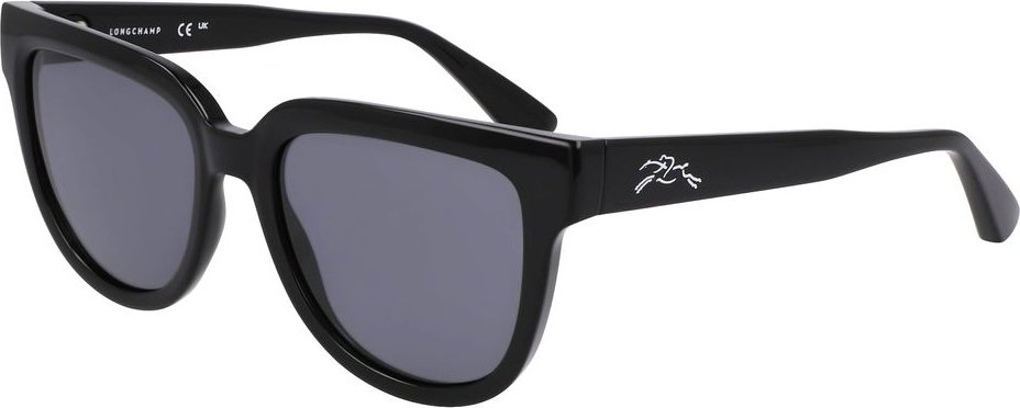 Schwarze Spritzguss-Sonnenbrille