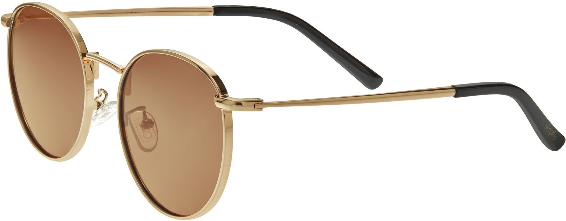 Lunettes de soleil polarisées Simplify Dade