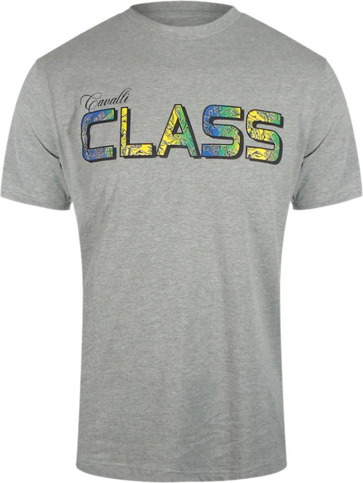 Cavalli Class - Graues T-shirt Mit Leuchtendem Blumenlogo