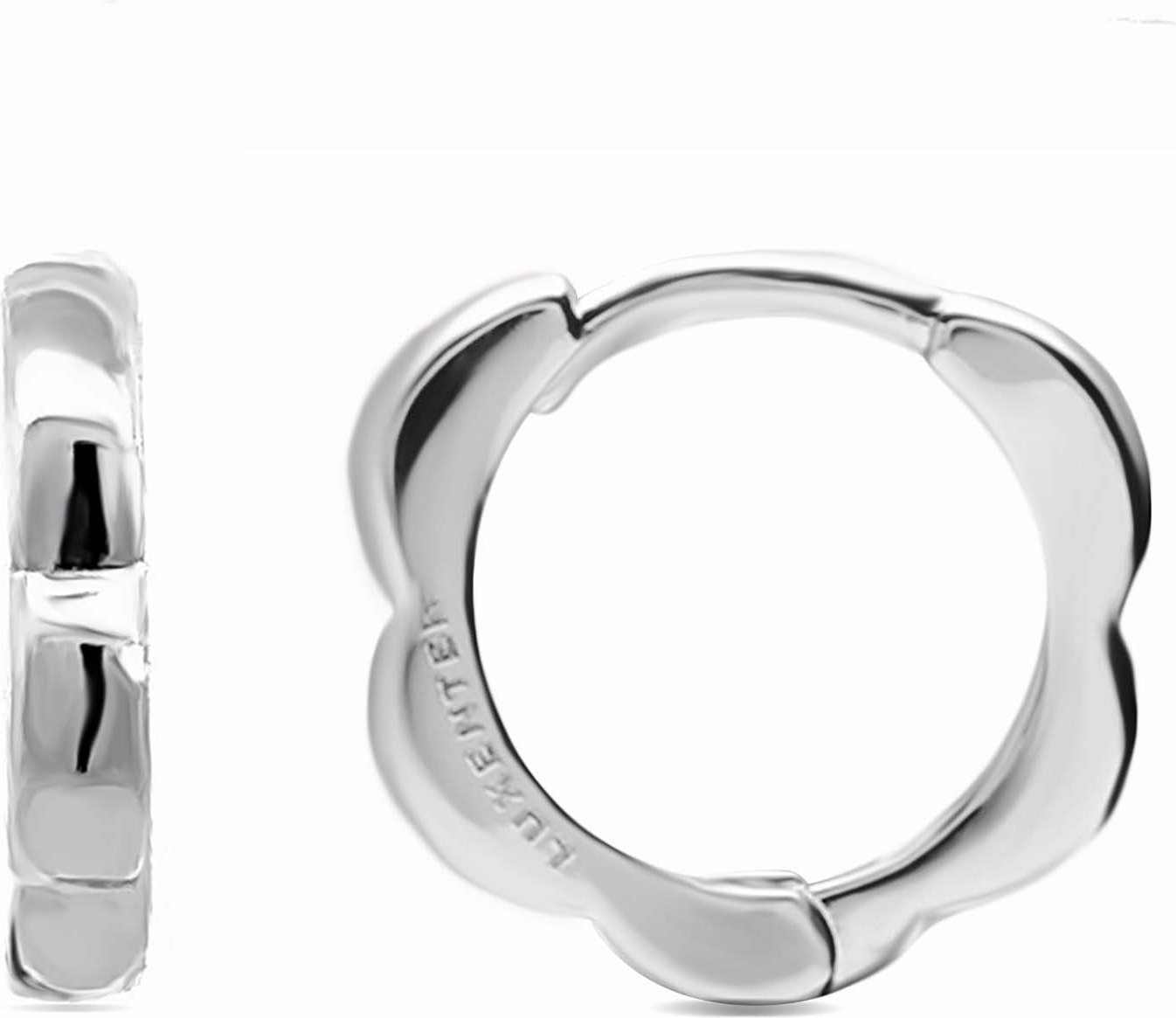 Luxenter Diwon-Ohrringe, rhodiniert