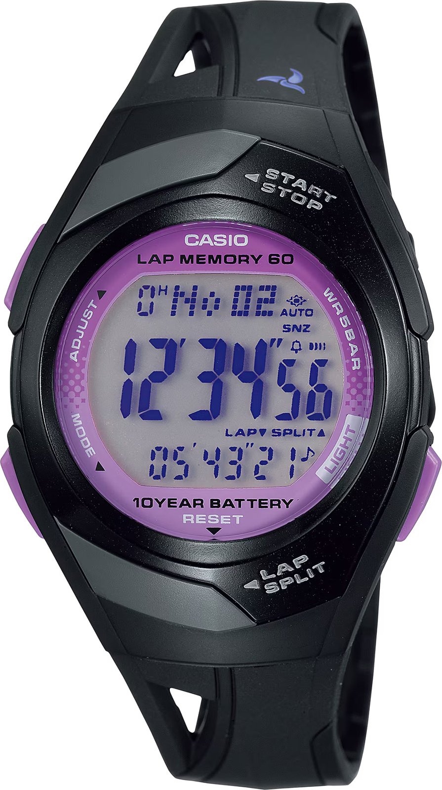 Casio Casio Collection Damen Schwarz Uhr STR-300-1CEG