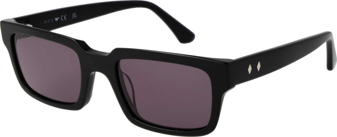 Web Sonnenbrille WE0360 01A 53
