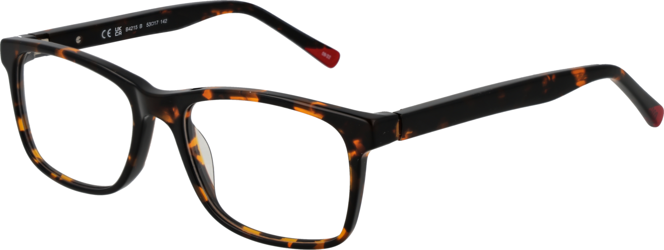 Invu Brillenfassung B4215 B 53