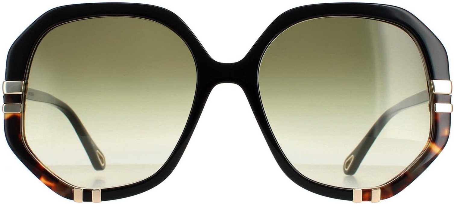 Chloe Square Womens Glänzend Schwarz und Schildkröte Grün Gradient CH0105S