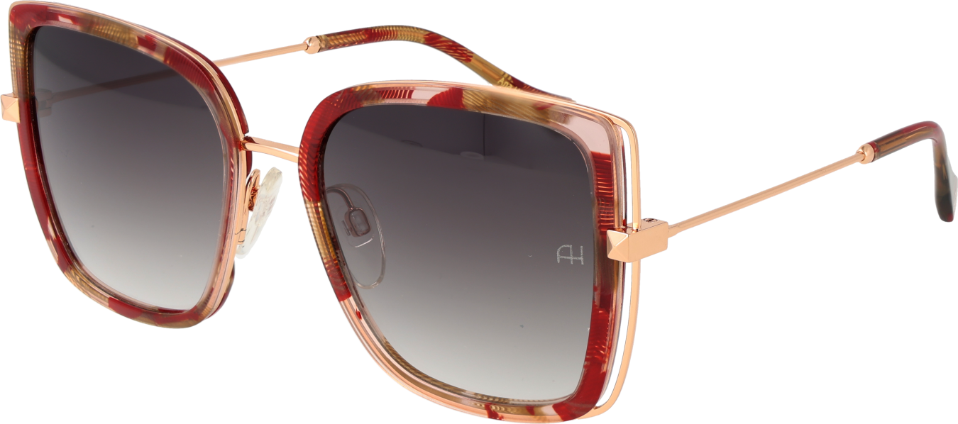 Ana Hickmann Sonnenbrille AH3246 G22 53