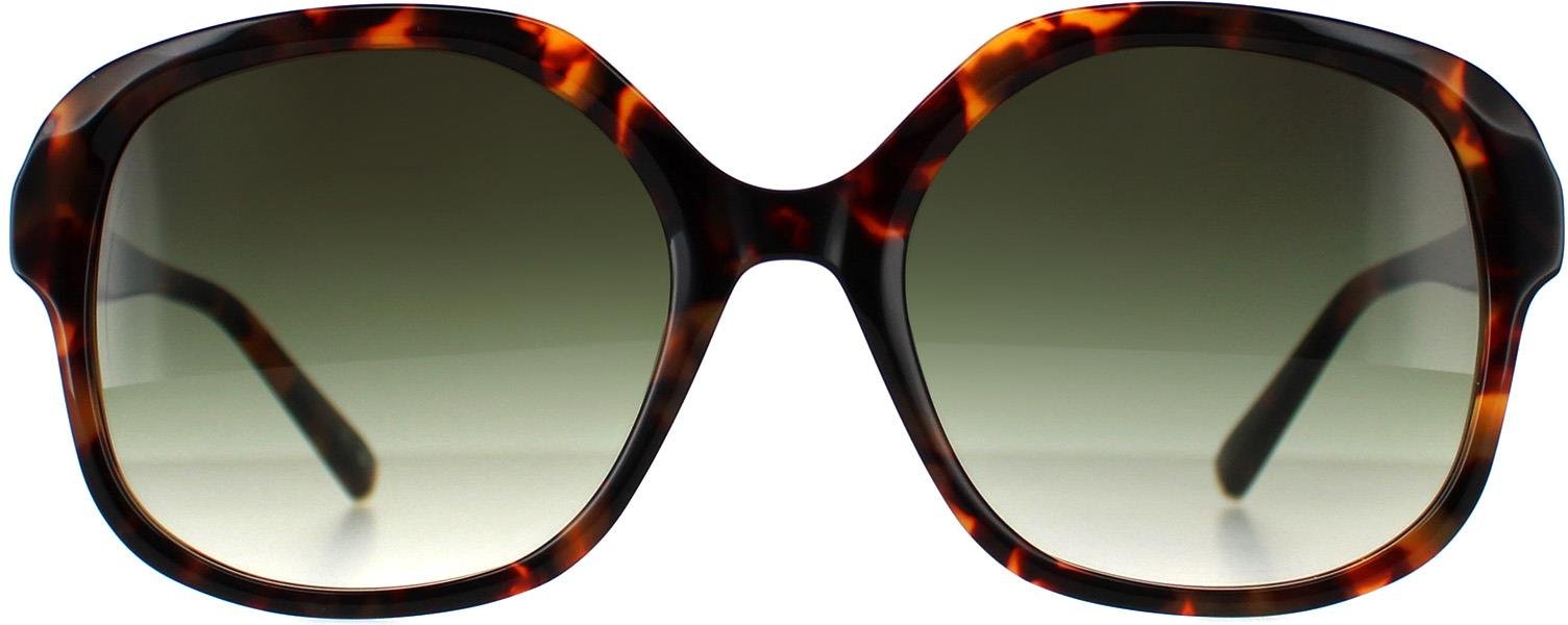 Ted Baker Square Damen Schildpatt Grau Gradient TB1685 Eloise