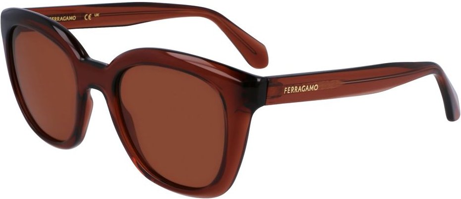 Braune Einspritzungssonnenbrille