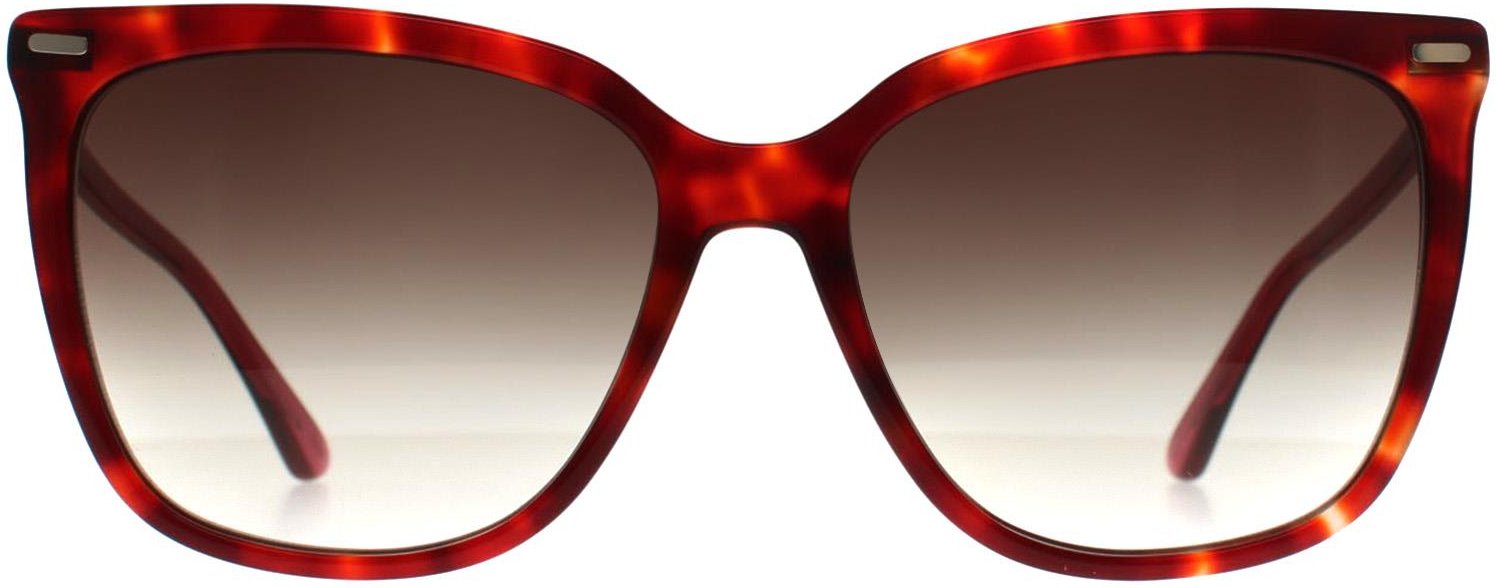 Calvin Klein Butterfly Damen Burgund Havanna Braun Farbverlauf CK22532S